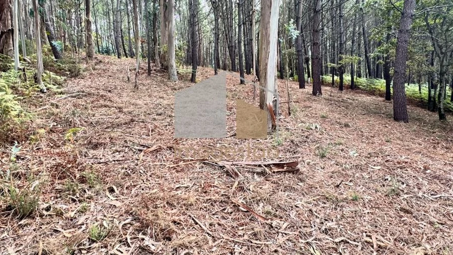 Terreno para Venda em Cornes