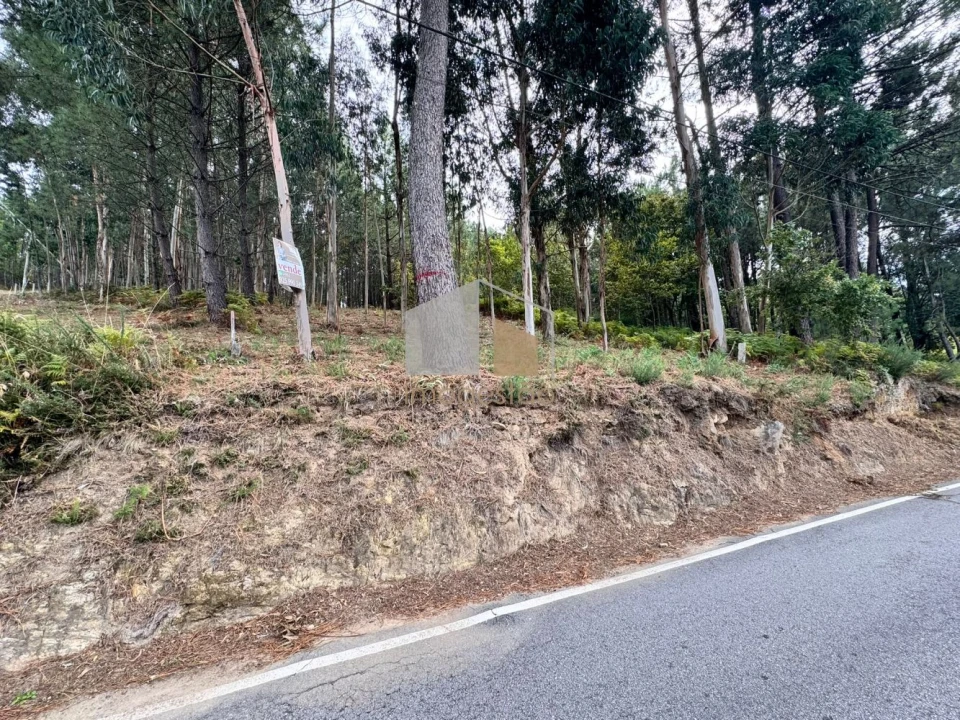 Terreno para Venda em Cornes Foto 4