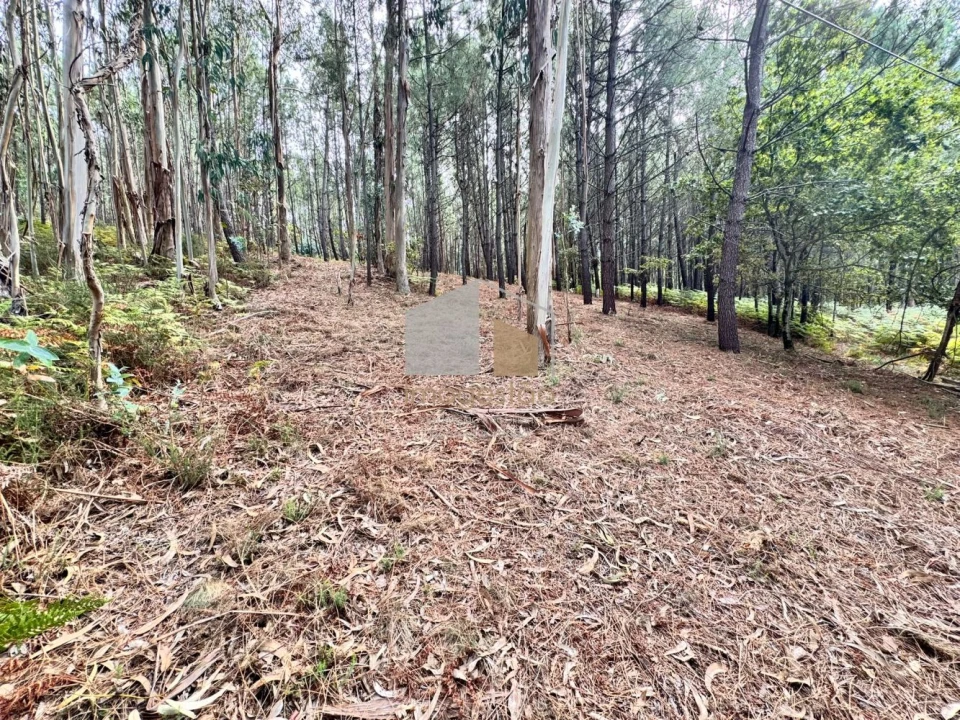Terreno para Venda em Cornes Foto 1