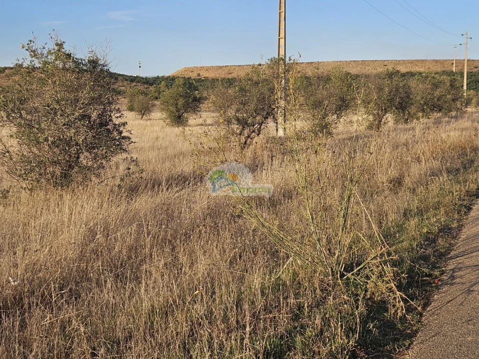 Terreno para Venda em Torre de Coelheiros Foto 15
