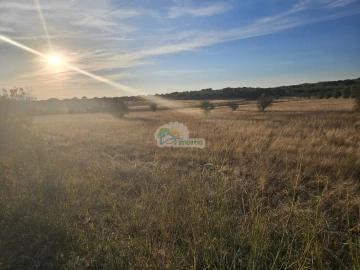 Terreno para Venda em Torre de Coelheiros