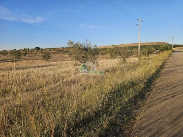 Terreno para Venda em Torre de Coelheiros