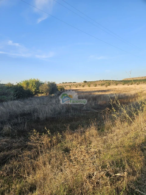 Terreno para Venda em Torre de Coelheiros