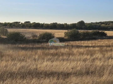 Terreno para Venda em Torre de Coelheiros
