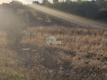 Terreno para Venda em Torre de Coelheiros