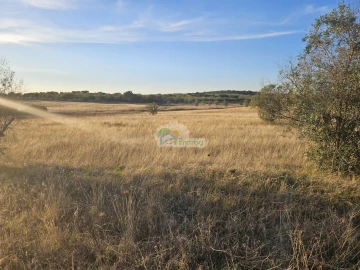 Terreno para Venda em Torre de Coelheiros