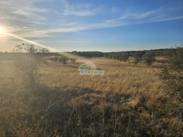 Terreno para Venda em Torre de Coelheiros