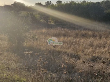 Terreno para Venda em Torre de Coelheiros