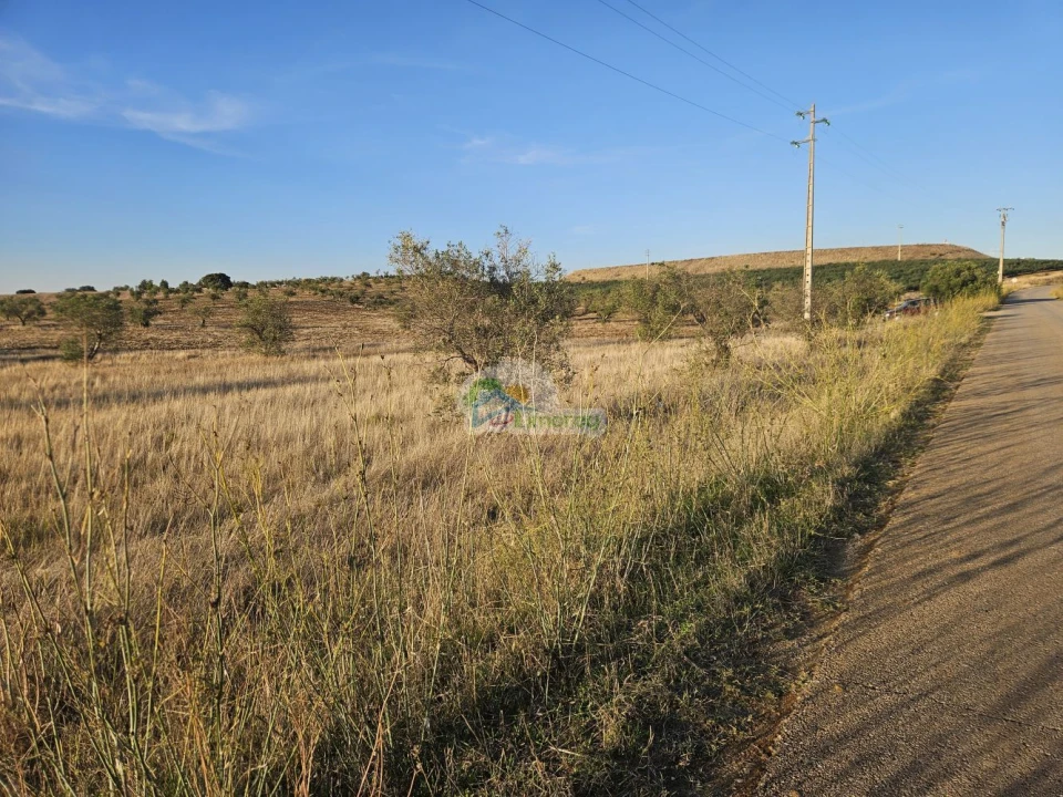 Terreno para Venda em Torre de Coelheiros Foto 7