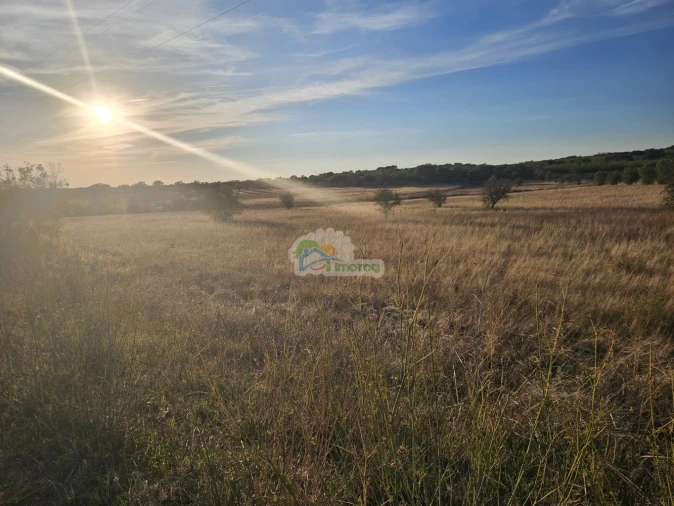 Terreno para Venda em Torre de Coelheiros Foto 8
