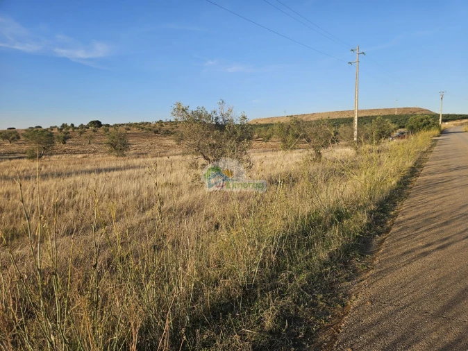 Terreno para Venda em Torre de Coelheiros Foto 7