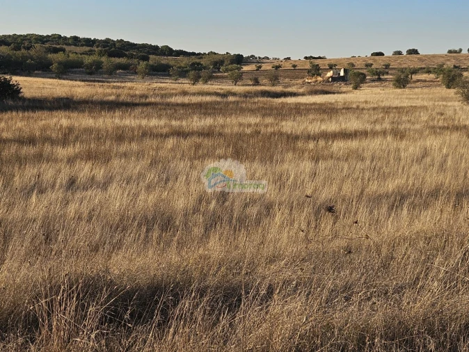 Terreno para Venda em Torre de Coelheiros Foto 14