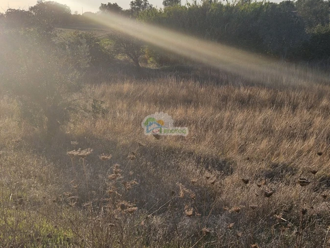 Terreno para Venda em Torre de Coelheiros Foto 17