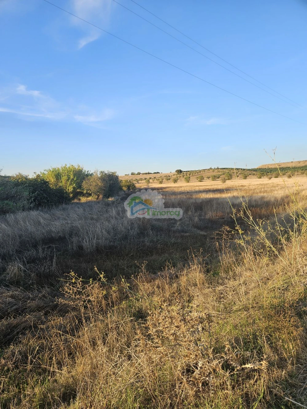 Terreno para Venda em Torre de Coelheiros Foto 18