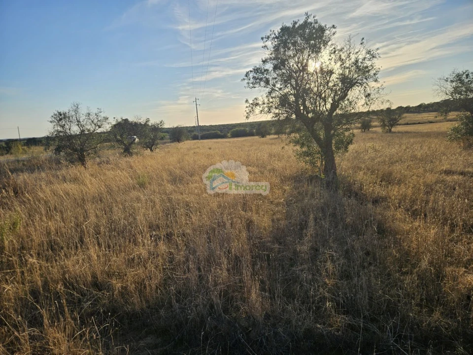 Terreno para Venda em Torre de Coelheiros Foto 2