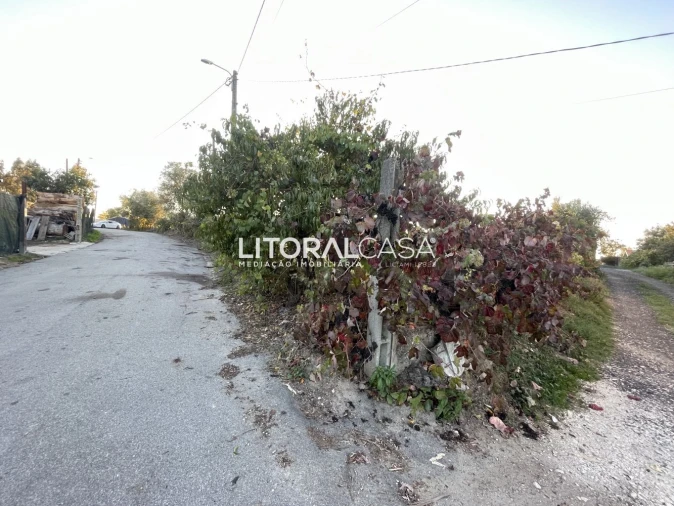 Terreno para Venda em Requeixo, Nossa Senhora de Fátima e Nariz Foto 3
