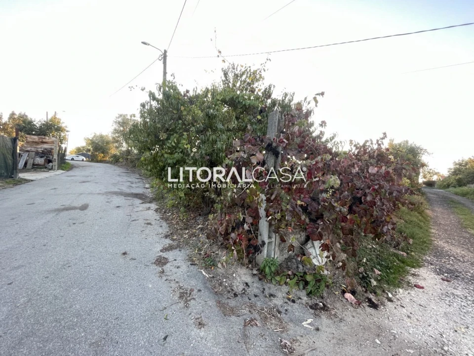 Terreno para Venda em Requeixo, Nossa Senhora de Fátima e Nariz Foto 3