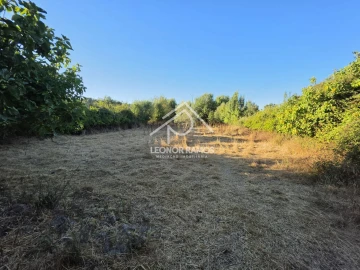 Terreno para Venda em Póvoa de Atalaia e Atalaia do Campo