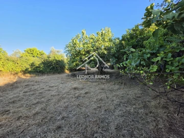 Terreno para Venda em Póvoa de Atalaia e Atalaia do Campo
