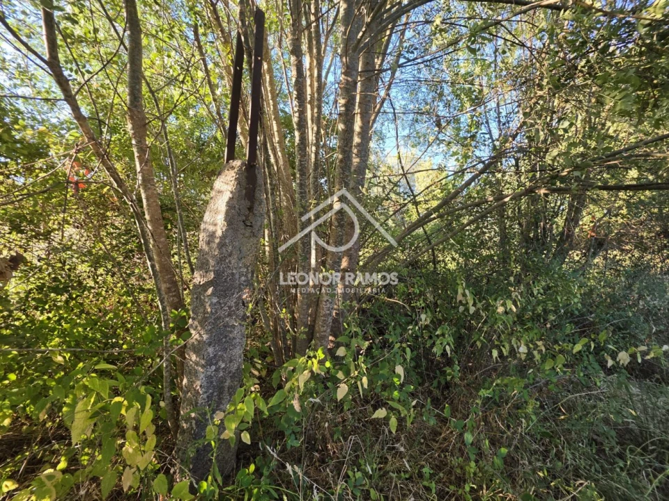 Terreno para Venda em Póvoa de Atalaia e Atalaia do Campo Foto 5