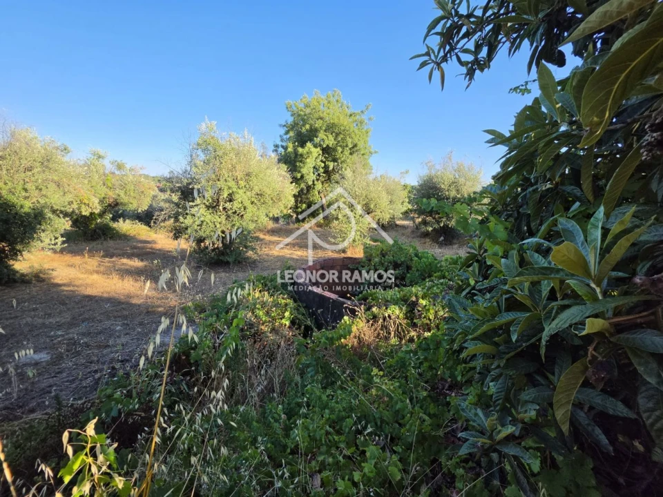 Quinta para Venda em Póvoa de Atalaia e Atalaia do Campo Foto 27