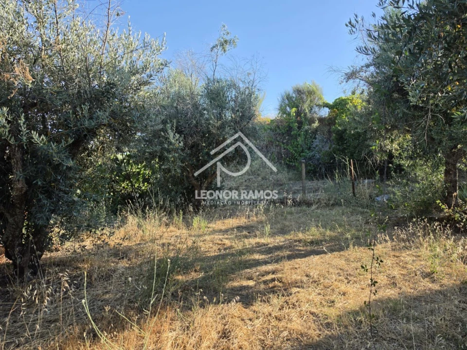 Quinta para Venda em Póvoa de Atalaia e Atalaia do Campo Foto 28