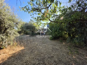 Quinta para Venda em Póvoa de Atalaia e Atalaia do Campo