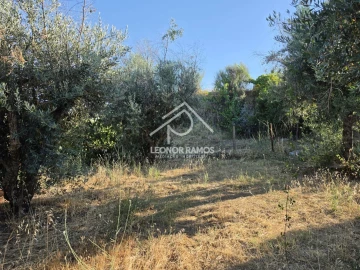 Quinta para Venda em Póvoa de Atalaia e Atalaia do Campo