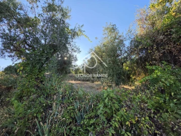 Quinta para Venda em Póvoa de Atalaia e Atalaia do Campo