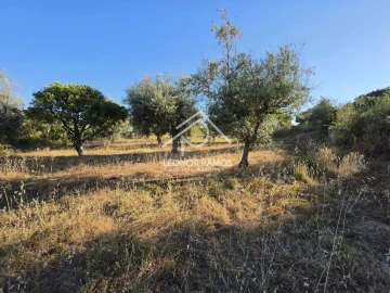 Quinta para Venda em Póvoa de Atalaia e Atalaia do Campo