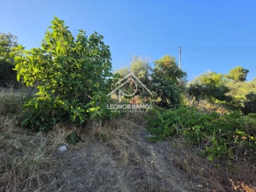 Quinta para Venda em Póvoa de Atalaia e Atalaia do Campo