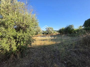 Quinta para Venda em Póvoa de Atalaia e Atalaia do Campo