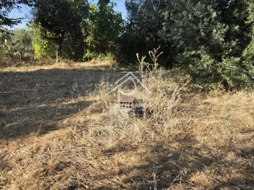 Quinta para Venda em Póvoa de Atalaia e Atalaia do Campo