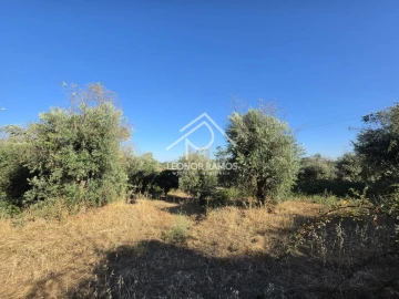 Quinta para Venda em Póvoa de Atalaia e Atalaia do Campo