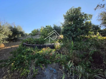 Quinta para Venda em Póvoa de Atalaia e Atalaia do Campo