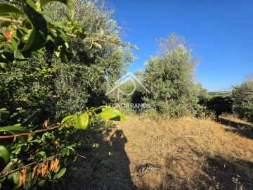 Quinta para Venda em Póvoa de Atalaia e Atalaia do Campo