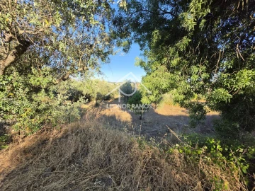 Quinta para Venda em Póvoa de Atalaia e Atalaia do Campo