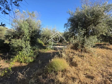 Quinta para Venda em Póvoa de Atalaia e Atalaia do Campo