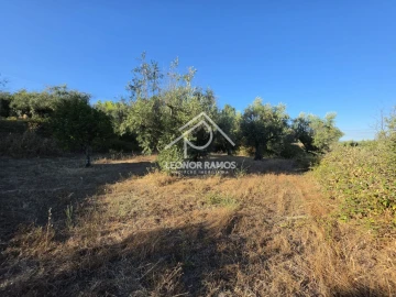 Quinta para Venda em Póvoa de Atalaia e Atalaia do Campo