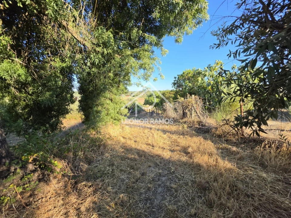 Quinta para Venda em Póvoa de Atalaia e Atalaia do Campo Foto 19