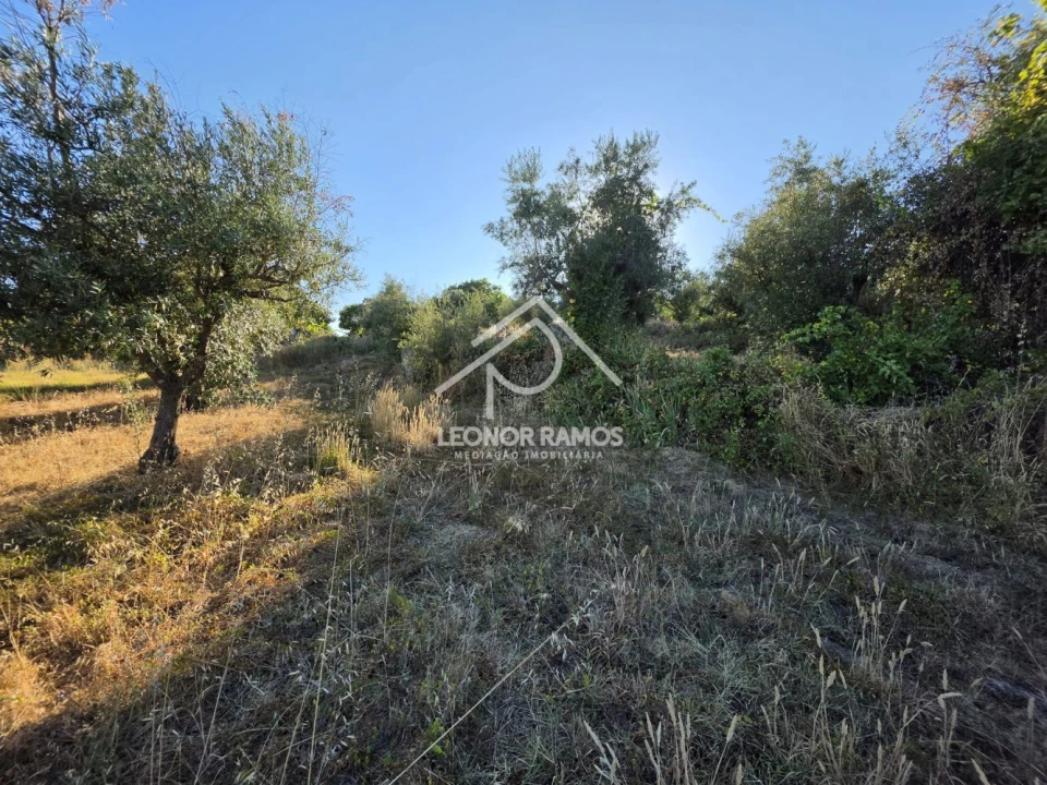 Quinta para Venda em Póvoa de Atalaia e Atalaia do Campo Foto 8