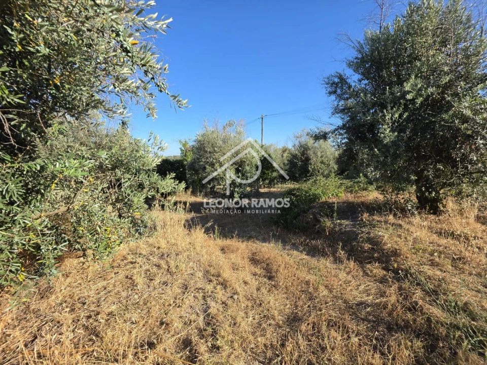 Quinta para Venda em Póvoa de Atalaia e Atalaia do Campo Foto 31