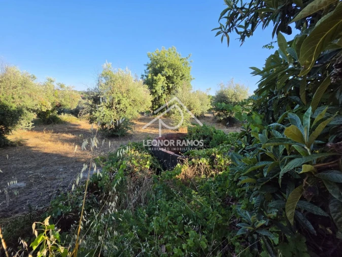 Quinta para Venda em Póvoa de Atalaia e Atalaia do Campo Foto 27