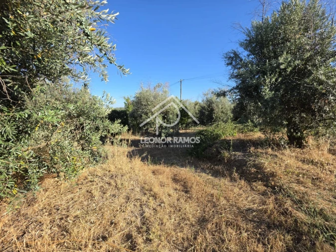 Quinta para Venda em Póvoa de Atalaia e Atalaia do Campo Foto 31