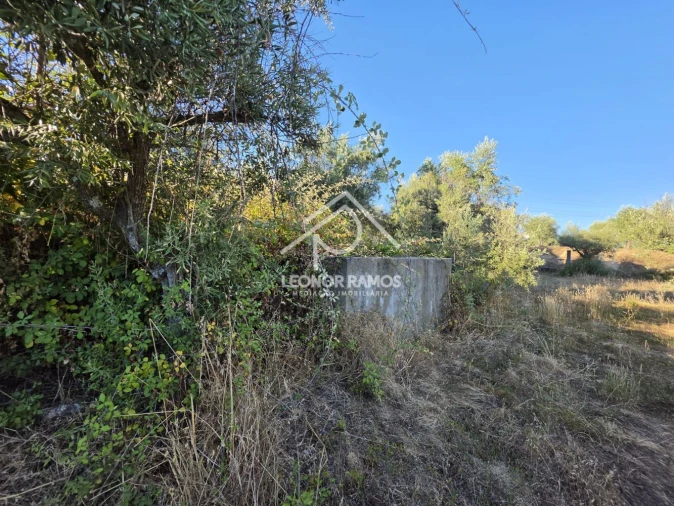 Quinta para Venda em Póvoa de Atalaia e Atalaia do Campo Foto 11