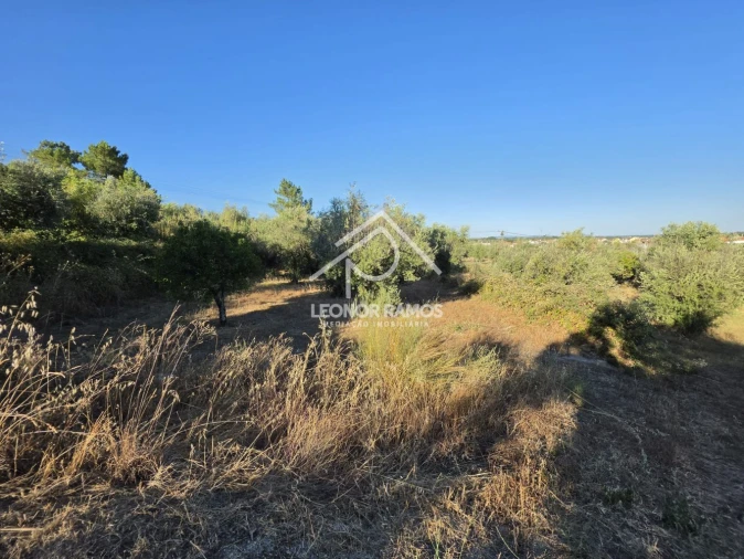 Quinta para Venda em Póvoa de Atalaia e Atalaia do Campo Foto 15