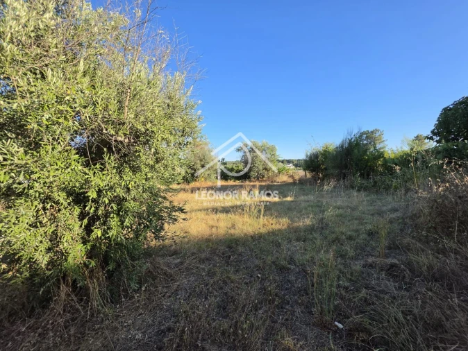 Quinta para Venda em Póvoa de Atalaia e Atalaia do Campo Foto 10