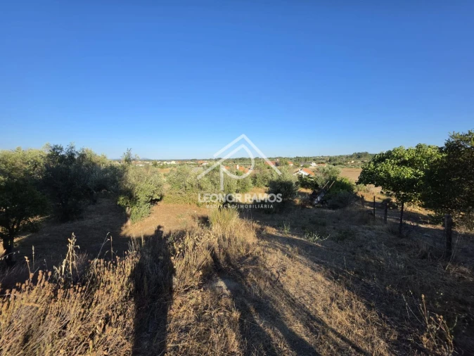 Quinta para Venda em Póvoa de Atalaia e Atalaia do Campo Foto 18