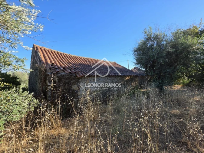 Quinta para Venda em Póvoa de Atalaia e Atalaia do Campo Foto 47