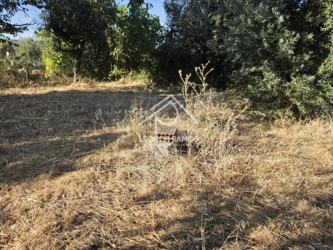Quinta para Venda em Póvoa de Atalaia e Atalaia do Campo Foto 46